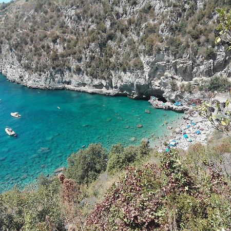 Casa Lorella Panzió Massa Lubrense Kültér fotó